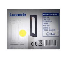 Lucande Lucande - LED Venkovní lampa FENTI LED/12W/230V IP65