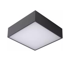 Lucide Lucide 27816/10/29 - LED Koupelnové stropní svítidlo ROXANE LED/12W/230V IP54