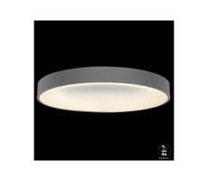 Luxera LUXERA  - LED Stmívatelné stropní svítidlo GENTIS 1xLED/80W/230V