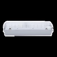 NBB CARLA-2 16 LED 230-240V 3h TP IP65