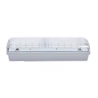 NBB CARLA-AT 30 LED 230-240V 3h TP IP65 910105000