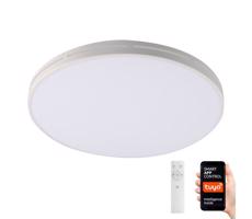 Neo  NEO 07146-W42 - LED Stmívatelné svítidlo NEO LITE 24W/230V Tuya Wi-Fi + DO