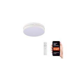 Neo  NEO 07153-W30 - LED Stmívatelné svítidlo PERFECTO 24W/230V Wi-Fi Tuya + DO