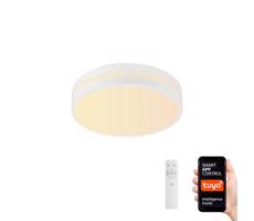 Neo  NEO 07153-W40 - LED Stmívatelné svítidlo PERFECTO 24W/230V Wi-Fi Tuya + DO