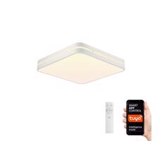 Neo  NEO 07155-W30 - LED Stmívatelné svítidlo PERFECTO 24W/230V Wi-Fi Tuya + DO