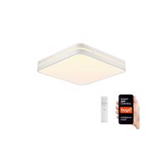 Neo  NEO 07155-W42 - LED Stmívatelné svítidlo PERFECTO 48W/230V Wi-Fi Tuya + DO