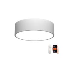 Neo  NEO 07204L - LED Stmívatelné svítidlo RONDATE LED/18W/230V bílá Tuya + DO