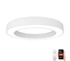 Neo  NEO 07212L - LED Stmívatelné svítidlo PASTEL LED/53W/230V bílá Tuya + DO