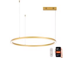 Neo  NEO 07217L-LED Stmívatelný lustr na lanku FINO 60W/230V 80cm zlatá Tuya+DO