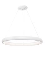 Nova Luce LED závěsné svítidlo Albi ve dvou velikostech a třech barvách - pr. 610 x 60 x 1140 mm, 50 W, 3000 K, stmívatelné, bílé NV 8105601 D