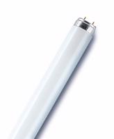 Osram L15 11-865, Lineární zářivka T8, L15W 11-865 studená denní bílá 6500K Ra80- 900 lm, G13, L=438mm, d=26mm 4050300446189