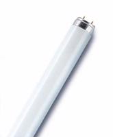 OSRAM lumilux L 10W/827 G13 4050300446165