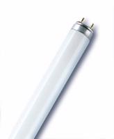 OSRAM lumilux L 58W/77 G13 4050300004259