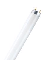 Osram Zářivková trubice NATURA L 30W/76 T8 G13 teplá bílá 3500K 895mm 4050300010540