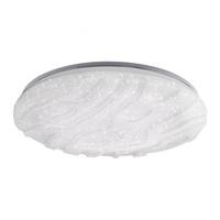 PAUL NEUHAUS LED stropní svítidlo, velké, kruhové, průměr 60cm 2700-5000K LD 14572-16