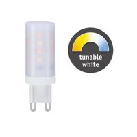 PAULMANN LED 1x4W G9 teplá bílá - denní bílá TunableWhite 288.20 28820 Čirá