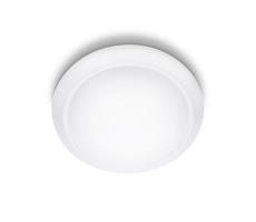 Philips Philips 33365/31/17 - LED stropní svítidlo 1xLED/22W/230V