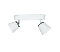 Philips Philips 53342/31/16 - LED bodové svítidlo DENDER 2xLED/4W/230V