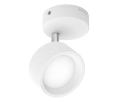 Philips Philips - LED Bodové svítidlo BRACIA LED/5,5W/230V bílá