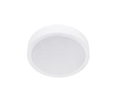 Philips Philips - LED Stropní svítidlo MESON LED/23,5W/230V 3000K