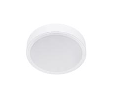 Philips Philips - LED Stropní svítidlo MESON LED/23,5W/230V 4000K