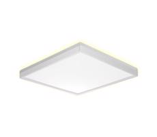 Prezent Prezent  - LED Koupelnové stropní svítidlo CORDIA SQ LED/12W/230V IP54 bílá