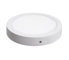 Rabalux Rabalux 2656 - LED Stropní svítidlo LOIS LED/18W/230V