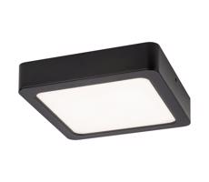 Rabalux Rabalux 2689 - LED Stropní svítidlo SHAUN LED/12W/230V 14,5 cm