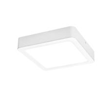 Rabalux Rabalux 3174 - LED Stropní svítidlo SHAUN LED/12W/230V 14,5 cm