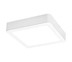 Rabalux Rabalux 3176 - LED Stropní svítidlo SHAUN LED/24W/230V 22 cm