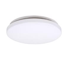 Rabalux Rabalux 3338 - LED Stropní svítidlo ROB 1xLED/20W/230V