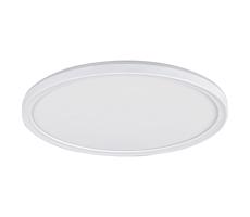 Rabalux Rabalux 3427 - LED Stropní svítidlo PAVEL LED/18W/230V