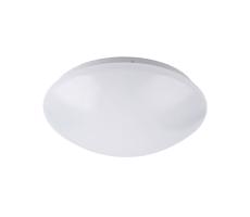 Rabalux Rabalux 3436 - LED stropní svítidlo LUCAS LED/24W/230V