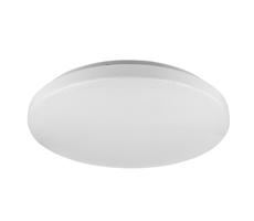 Rabalux Rabalux 5436 - LED Stropní svítidlo ROB LED/32W/230V