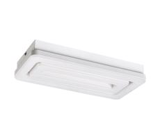 Rabalux Rabalux 5648 - LED Stropní svítidlo ALANA LED/40W/230V bílá