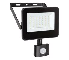 Rabalux Rabalux 7068 - LED Reflektor se senzorem FLOOD LED/30W/230V 4000K IP44 černá