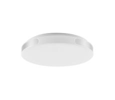 Rabalux Rabalux 71085 - LED Stropní svítidlo DANUTA LED/24W/230V 4000K pr. 39 cm