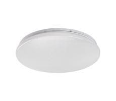 Rabalux Rabalux 71104 - LED Stropní svítidlo VENDEL LED/12W/230V 4000K 25 cm