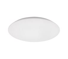 Rabalux Rabalux 71124 - LED Stropní svítidlo RORIK LED/24W/230V 4000K 38 cm