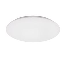 Rabalux Rabalux 71125 - LED Stropní svítidlo RORIK LED/45W/230V 4000K 48 cm