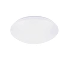 Rabalux Rabalux 71132 - LED Stropní svítidlo se senzorem LUCAS LED/12W/230V IP44 4000K