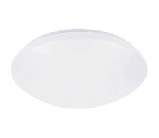 Rabalux Rabalux 71134 - LED Stropní svítidlo se senzorem LUCAS LED/24W/230V IP44 4000K