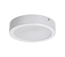 Rabalux Rabalux 71192 - LED Stropní svítidlo SHAUN LED/7W/230V pr. 12 cm bílá