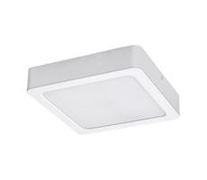 Rabalux Rabalux 71195 - LED Stropní svítidlo SHAUN LED/7W/230V 12x12 cm bílá