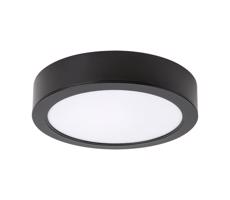 Rabalux Rabalux 71198 - LED Stropní svítidlo SHAUN LED/7W/230V pr. 12 cm černá