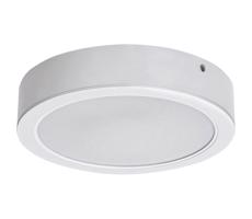 Rabalux Rabalux 71206 - LED Stropní svítidlo SHAUN LED/24W/230V pr. 22 cm bílá