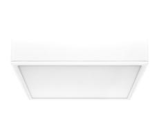 Rabalux Rabalux 71245 - LED Stropní svítidlo LAURI LED/22W/230V 21x21 cm bílá