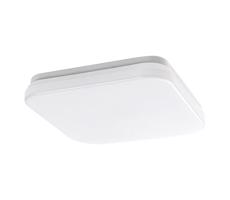 Rabalux Rabalux 77134-LED Koup. stropní svítidlo LOWAR LED/12W/230V IP44 3000/4000/6000K