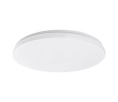 Rabalux Rabalux 77135-LED Koup. stropní svítidlo LOWAR LED/36W/230V IP44 3000/4000/6000K