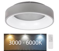 Rabalux Rabalux - LED Stmívatelné stropní svítidlo LED/24W/230V kulatý 3000-6000K + DO